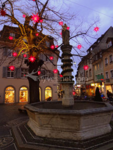 Fribourg, la perle de la Forêt-Noire
