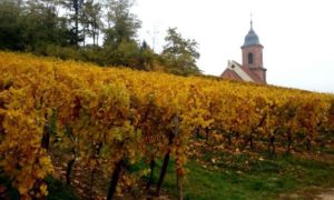 À l'automne, l'Alsace se pare de ses plus beaux atours. On y va !
