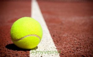 Vésinet Ibis Tennis Club